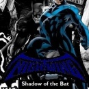 Nightwing: Shadow of the Bat Box Art Cover