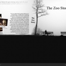 The Zoo Story Box Art Cover