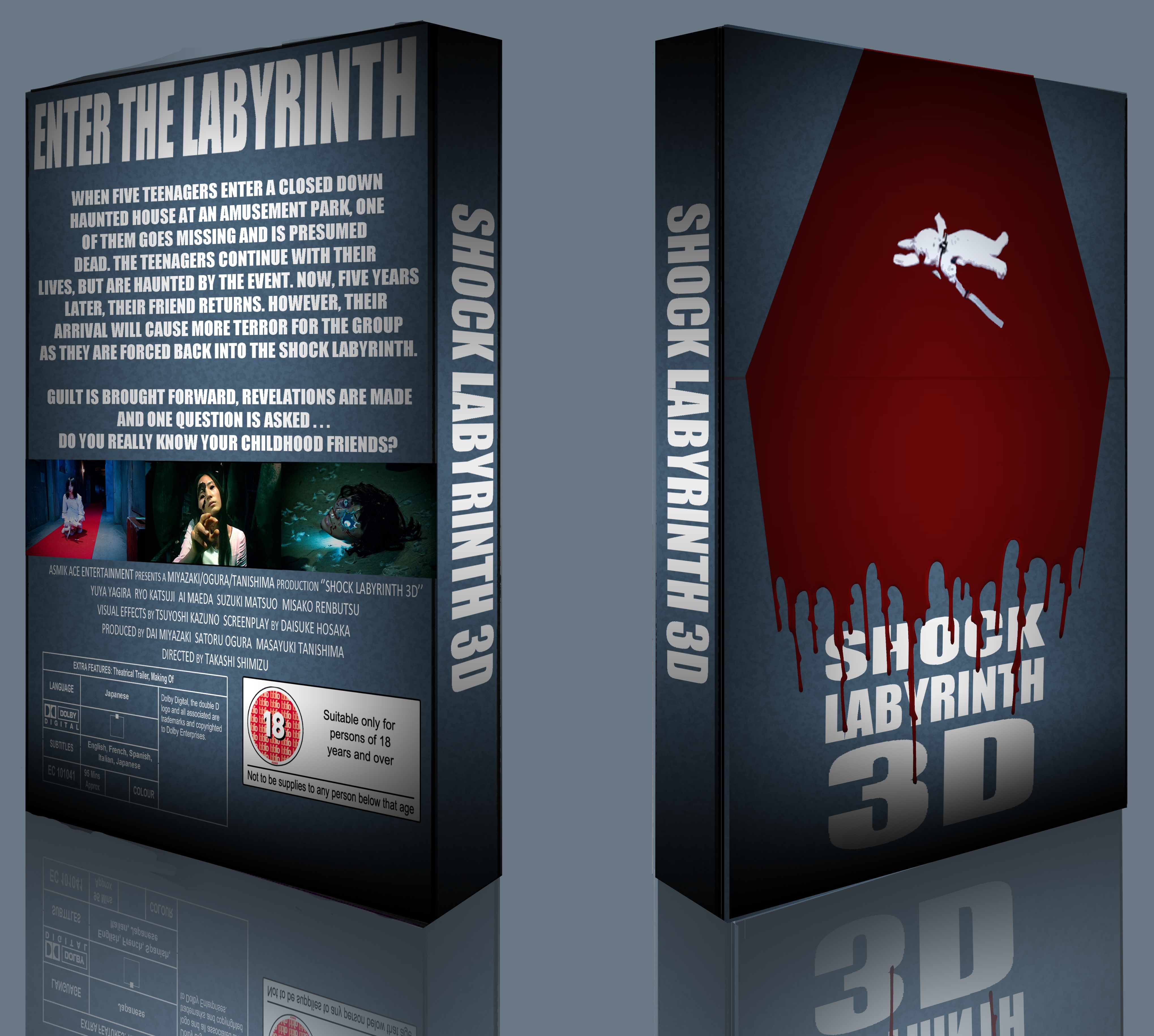 Shock Labyrinth 3D box cover