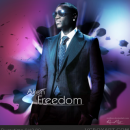 Akon - Freedom Box Art Cover