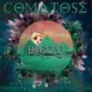 BigCat: Comatose LP Box Art Cover