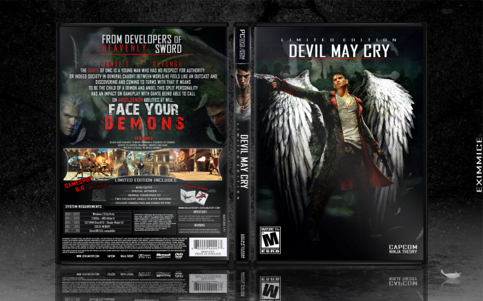 DMC: Devil May Cry Limited Edition box art cover