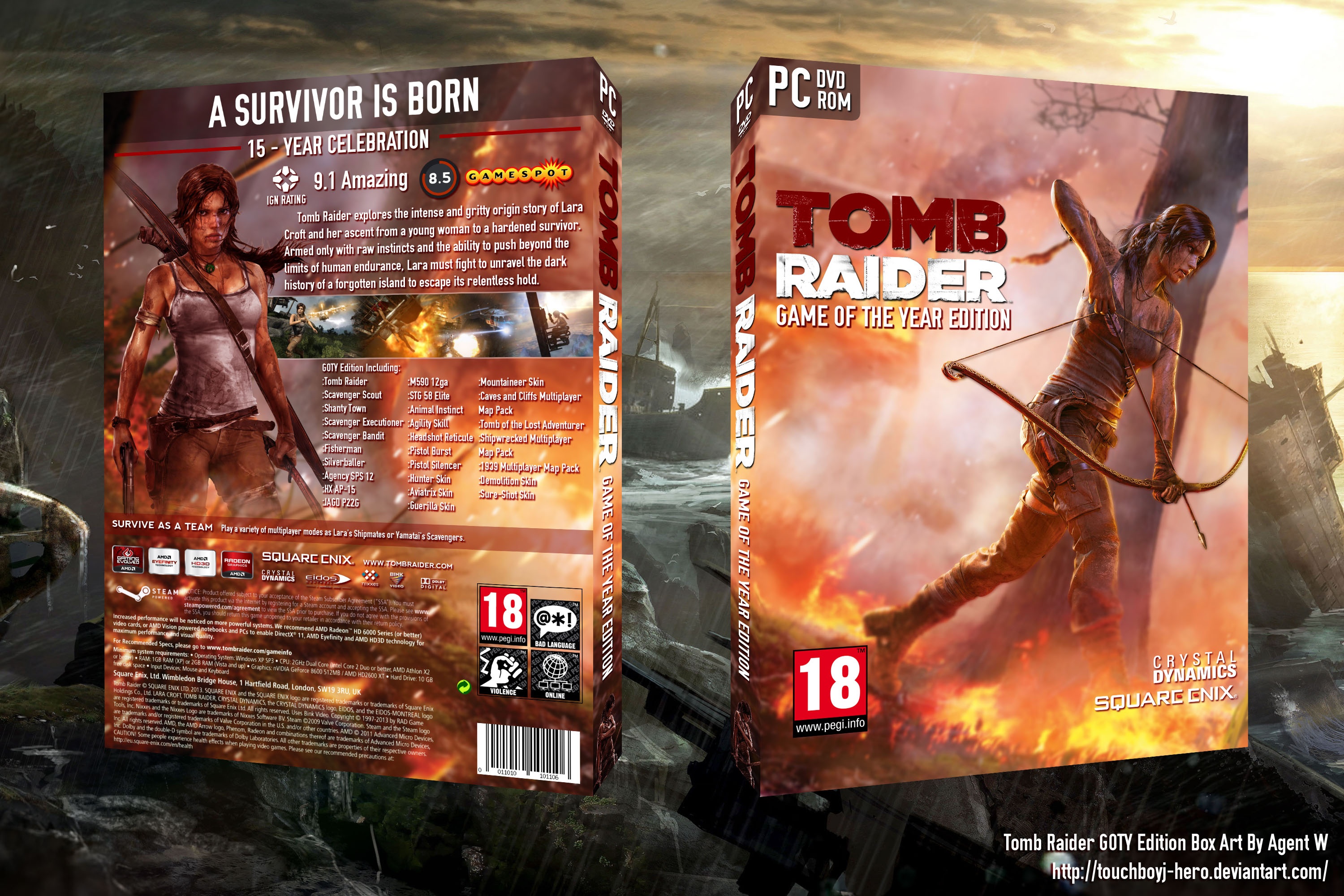 Tomb Raider Game of the Year Edition box cover