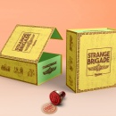 Strange Brigade Box Art Cover