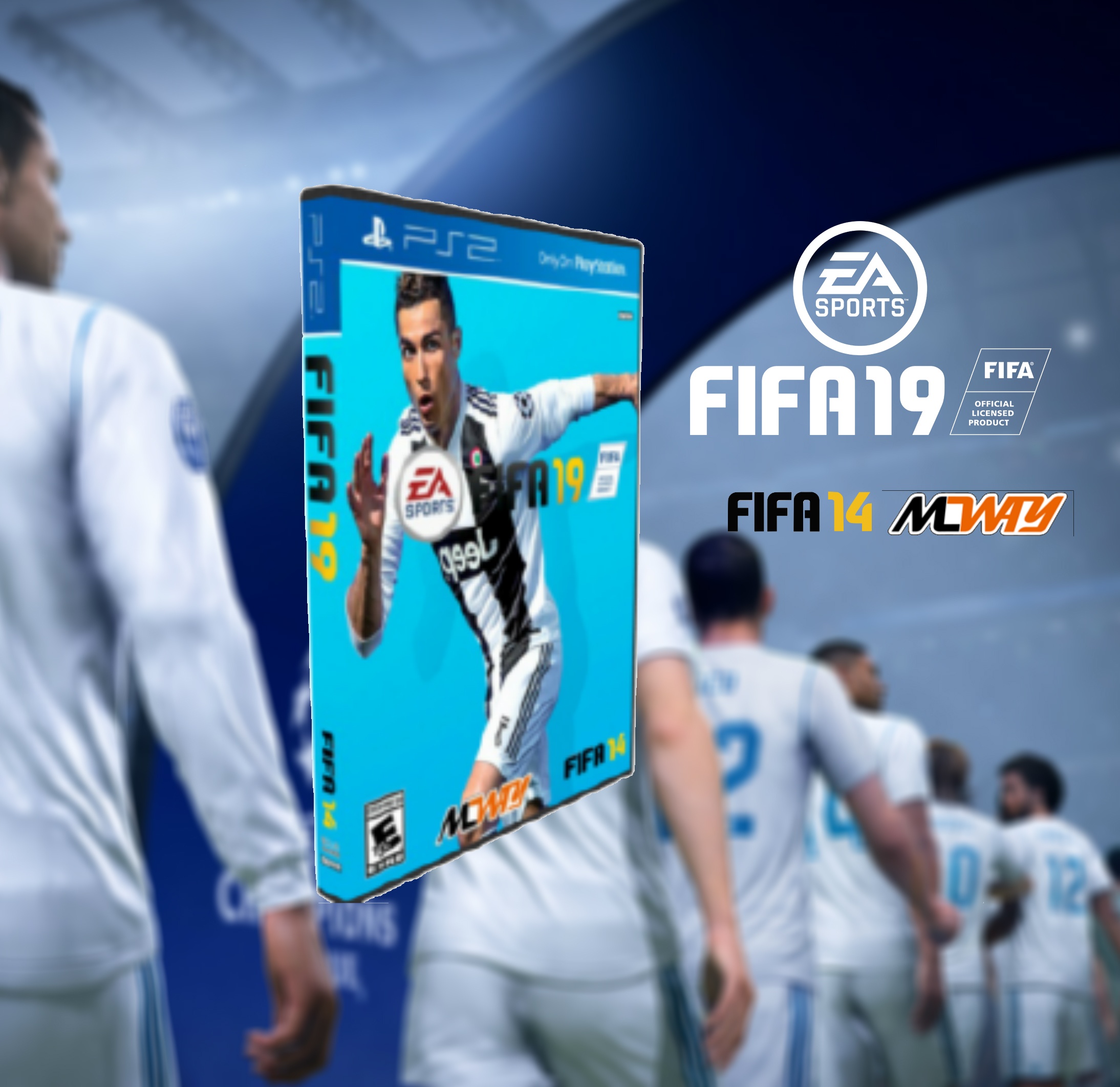 Fifa 2014 patch 2019 box cover