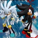 Silver and Shadow Box Art Cover