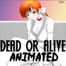 Dead Or Alive: Animated Box Art Cover