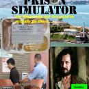Prisom Simulator Box Art Cover