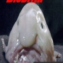 Blobfish: The Game Box Art Cover