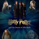 Harry Potter 9 Box Art Cover