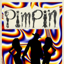 Pimpin Box Art Cover