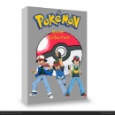 Pokemon Movie Collection Box Art Cover