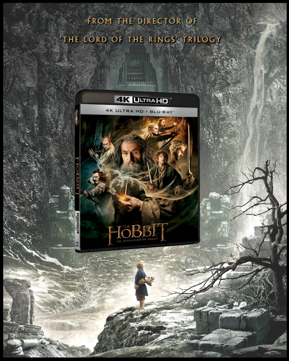 The Hobbit: The Desolation of Smaug box cover