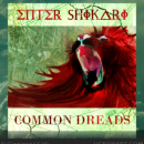 Enter Shikari: Common Dreads Box Art Cover
