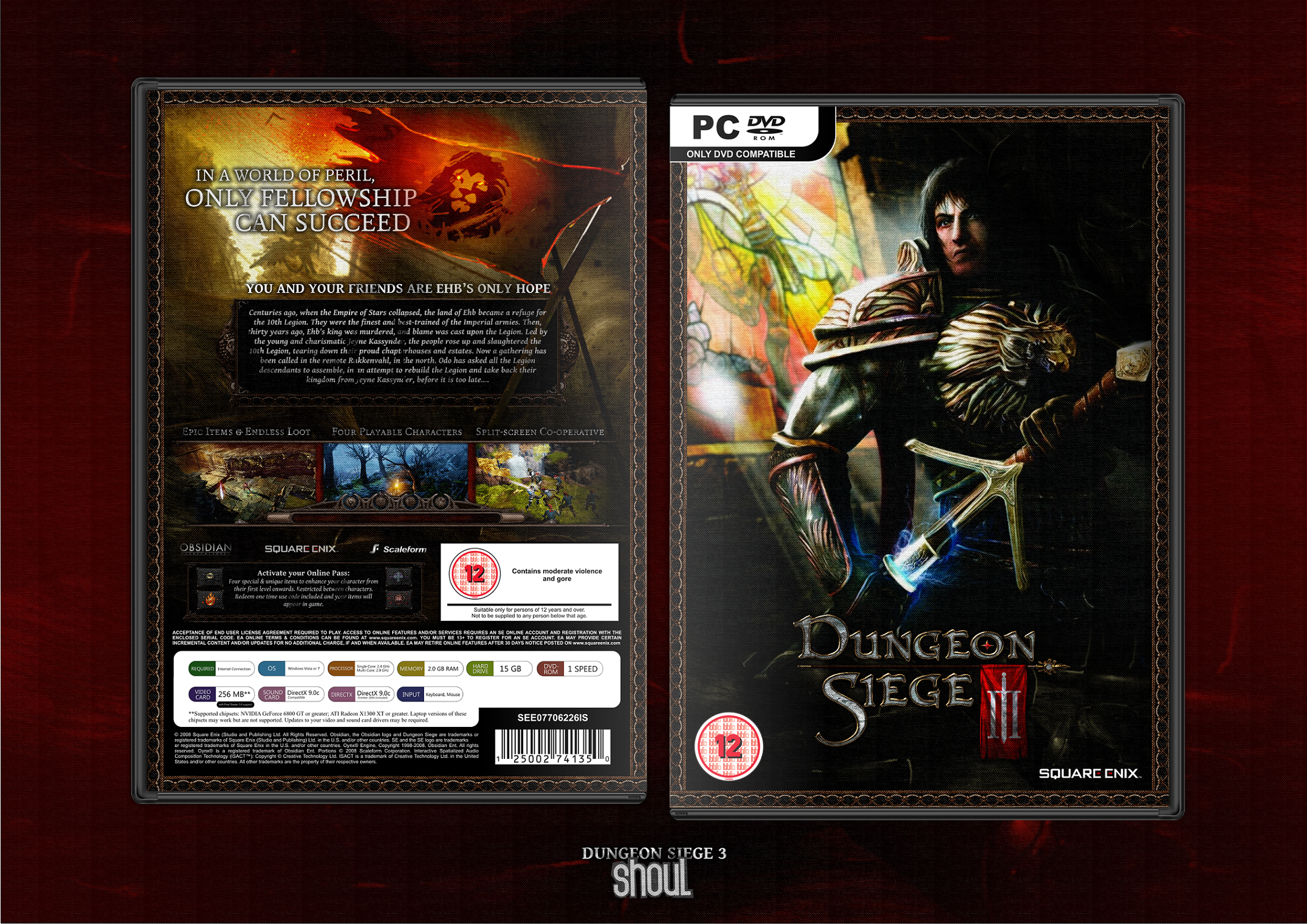Dungeon Siege 3 box cover