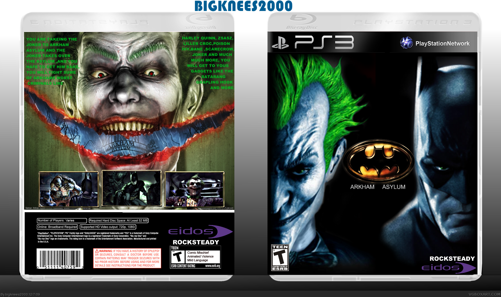 Batman Arkham Asylum PlayStation 3 Box Art Cover by bigknees2000