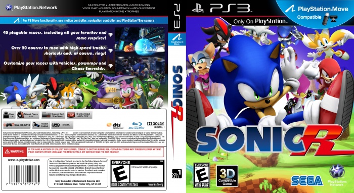 sonic r pc cover