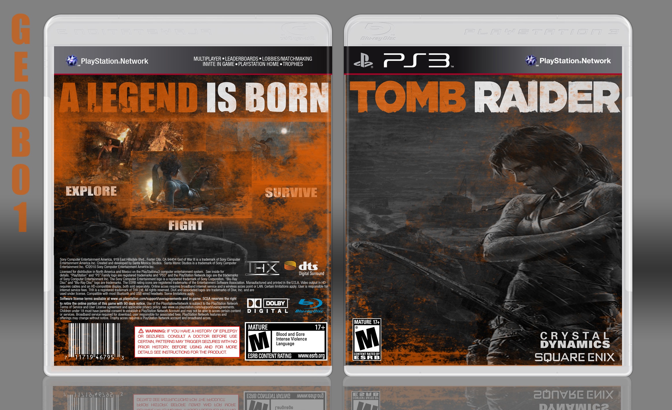 Tomb Raider PlayStation 3 Box Art Cover by geob01