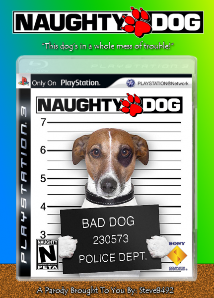 Naughty Dog box cover