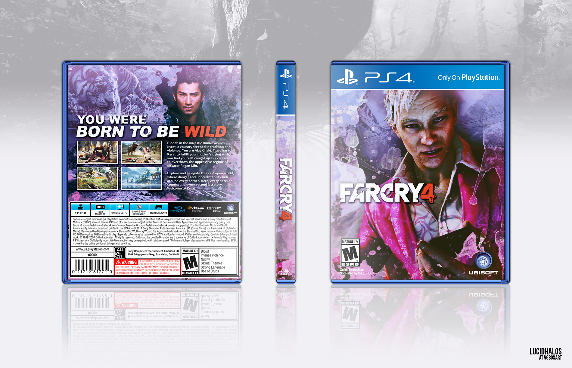 FarCry 2: Classic Edition PlayStation 4 Box Art Cover by Daniil