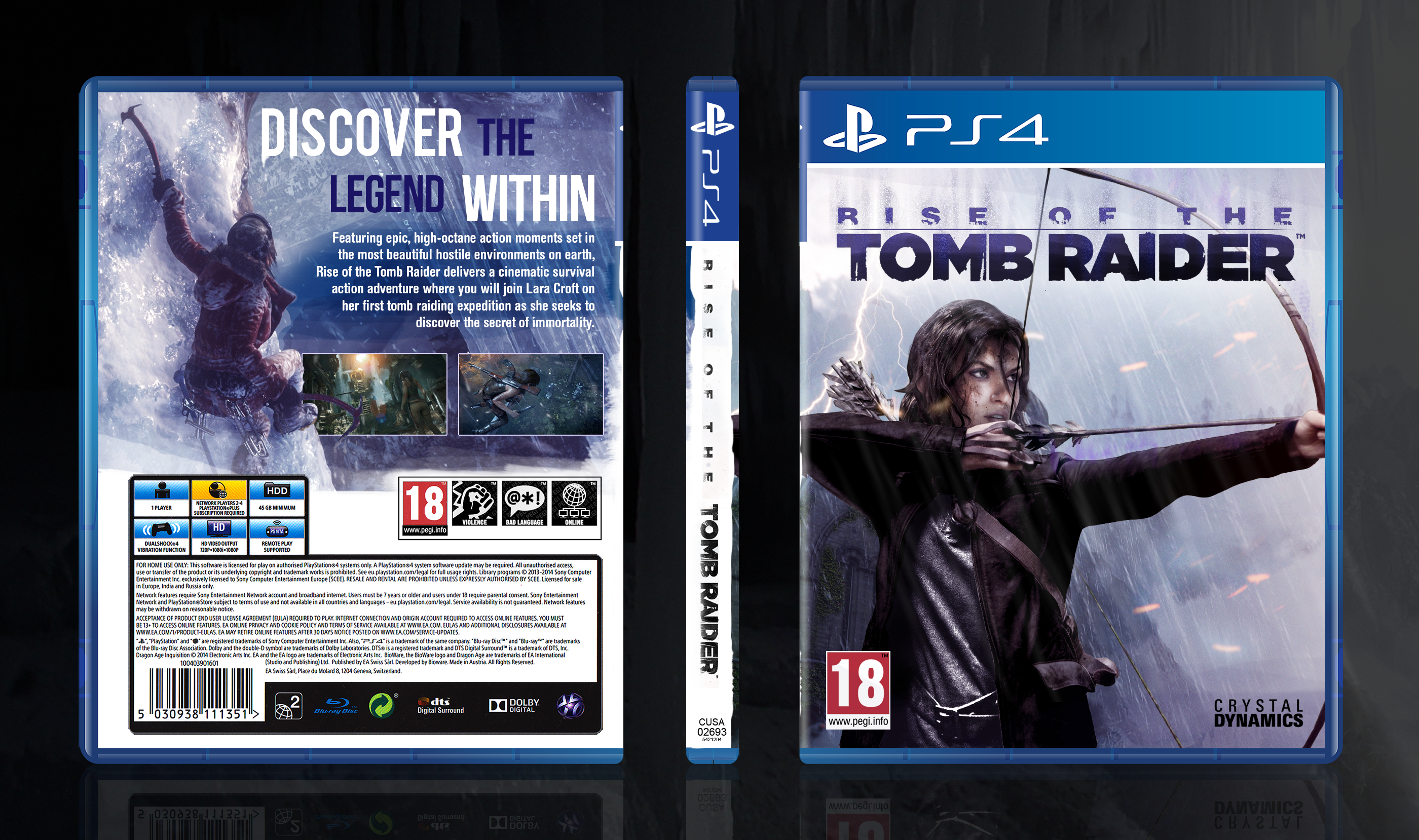 Tomb raider ps4 купить. Rise of the Tomb Raider (ps4). Tomb Raider ps4 обложка. Tomb Raider ps4 Cover. Rise of the Tomb Raider ps4 диск.