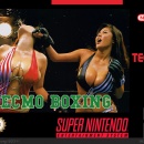 Tecmo Boxing Box Art Cover