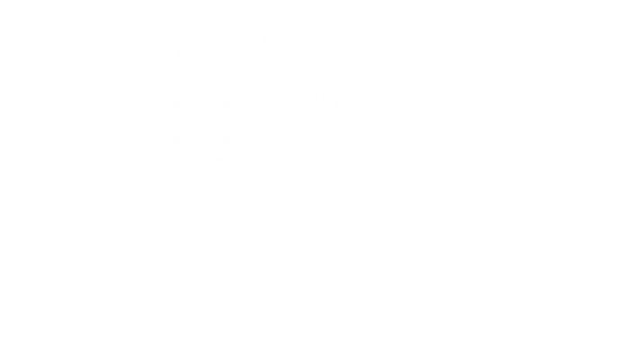 The Dark Knight Rises logo
